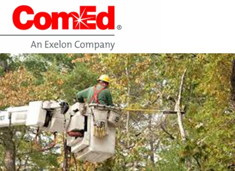 ComEdTreeTrimming