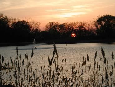 A Romeoville Park at Sunset